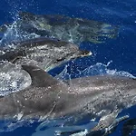 بيت للعطل Casa Dunas
