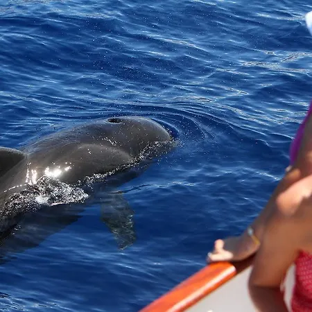 度假居 Casa Dunas 巴耶格兰雷伊